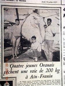 Oran documents divers 962